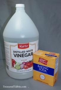 Baking Soda and Vinegar